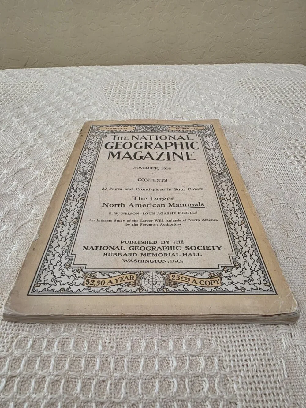 1916 National Geographic November Larger North American Mammals Vol 30 No 5